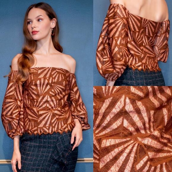 NWT Eva Franco Anthropologie Shine Lace Blouse in Copper, Sz L - Picture 1 of 12